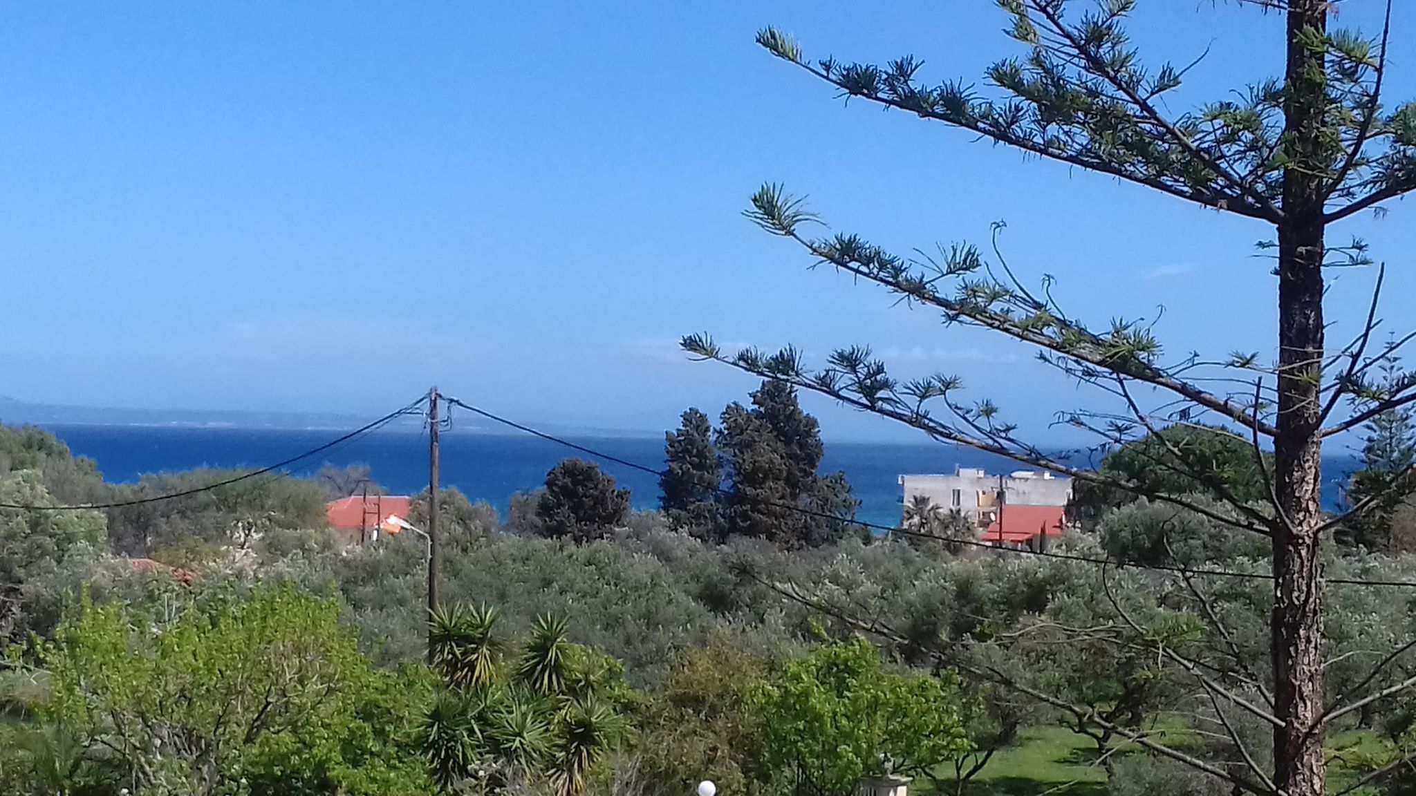 Foto - Contessa Hotel