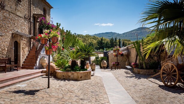 Un patio adoquinado con edificios de piedra, plantas en macetas y un carruaje.