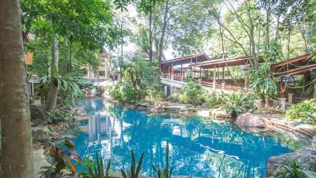 Una piscina rodeada de exuberante follaje y construcciones de madera.