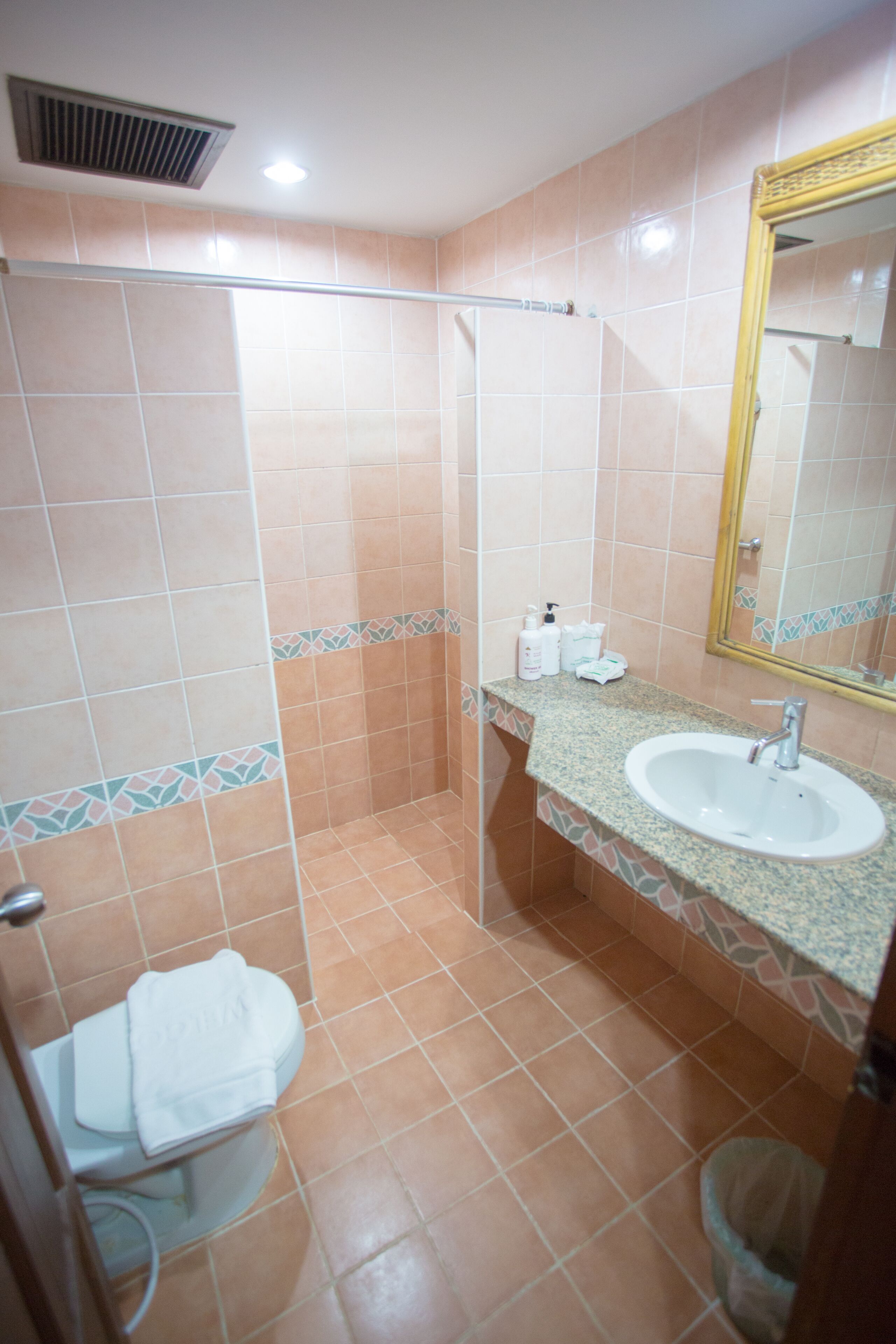 A bathroom with a shower, toilet, sink, and mirror.