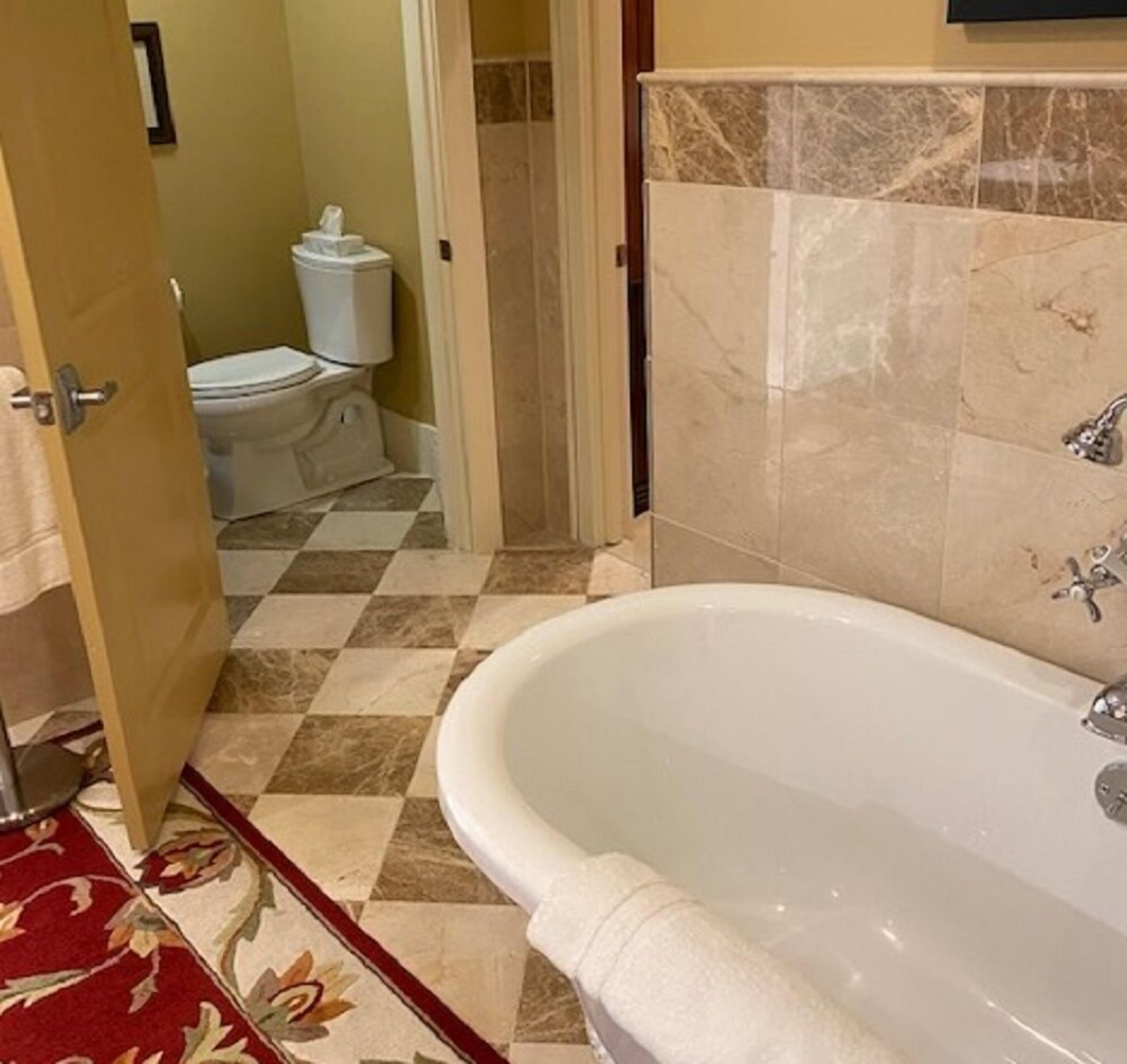 deluxe room, 1 king bed, bathtub | bathroom | free toiletries, hair dryer, towels, soap