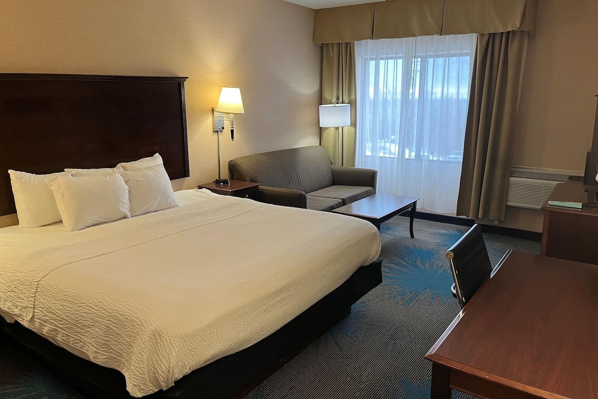 A hotel room with a large bed, a desk, a chair, and a sofa.