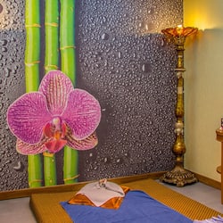 Couples treatment room(s), sauna, hot tub, steam room