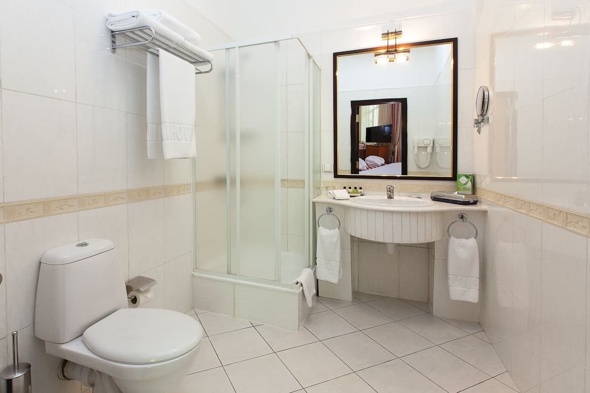 A modern bathroom with a toilet, glass shower enclosure, and a sink with a mirror above it.