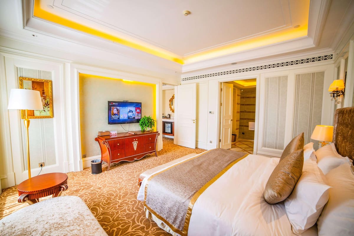 Una habitación de hotel con una cama grande, televisión, escritorio y armario.
