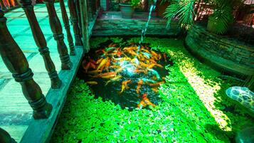 Jardín