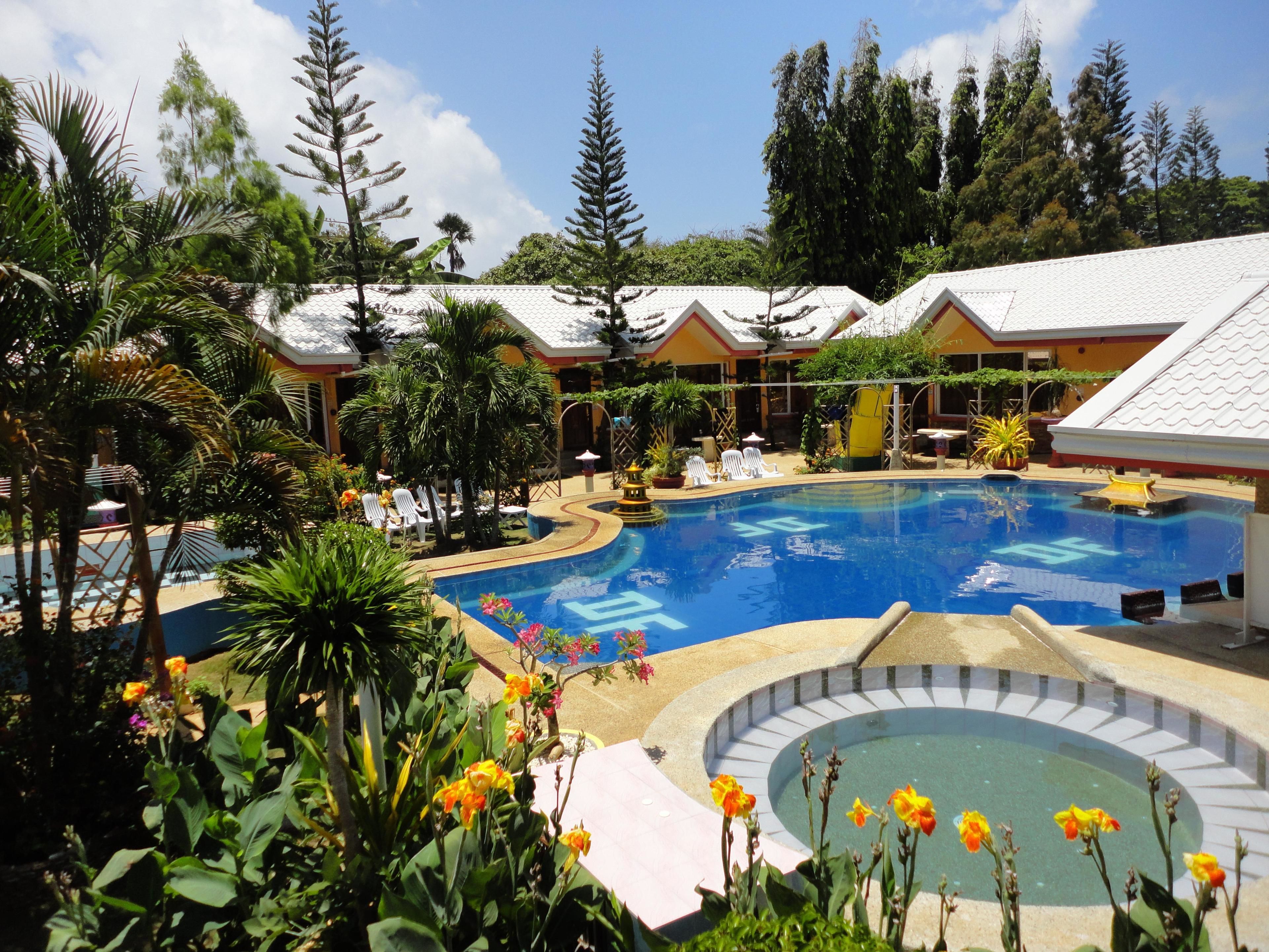 Una piscina rodeada de palmeras y un pequeño jardín con flores.