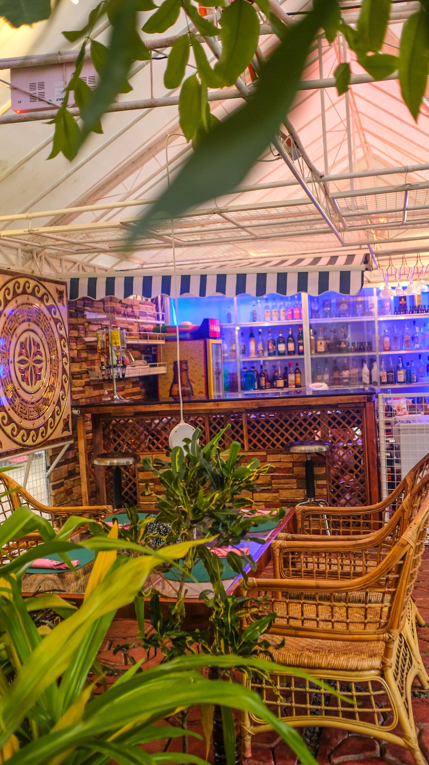 Foto - Deep Forest Garden Hotel