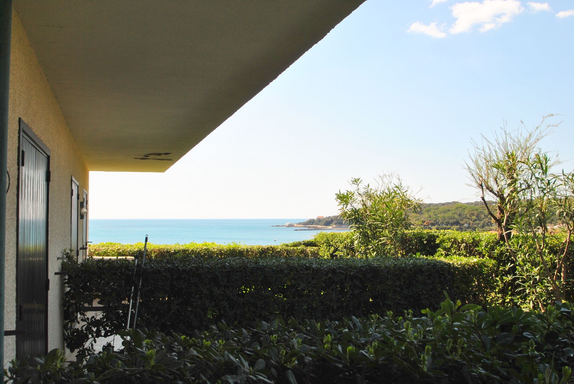 Vista desde la habitación