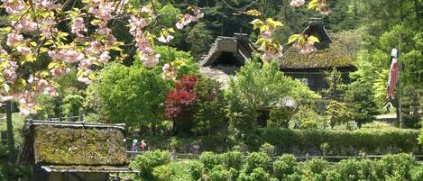 A traditional Japanese garden with a pond, cherry blossoms, and a thatched-roof building.