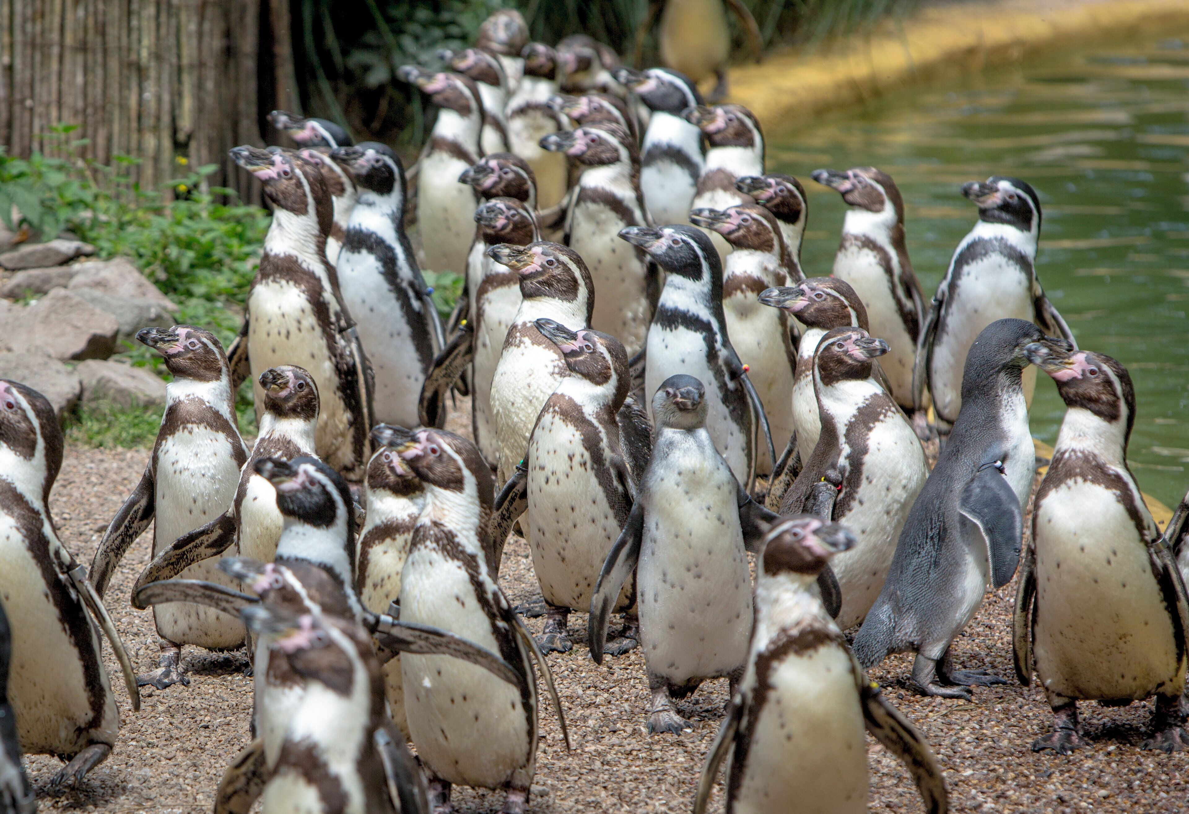 Photo - Holiday Inn Express Birmingham - Snow Hill by IHG