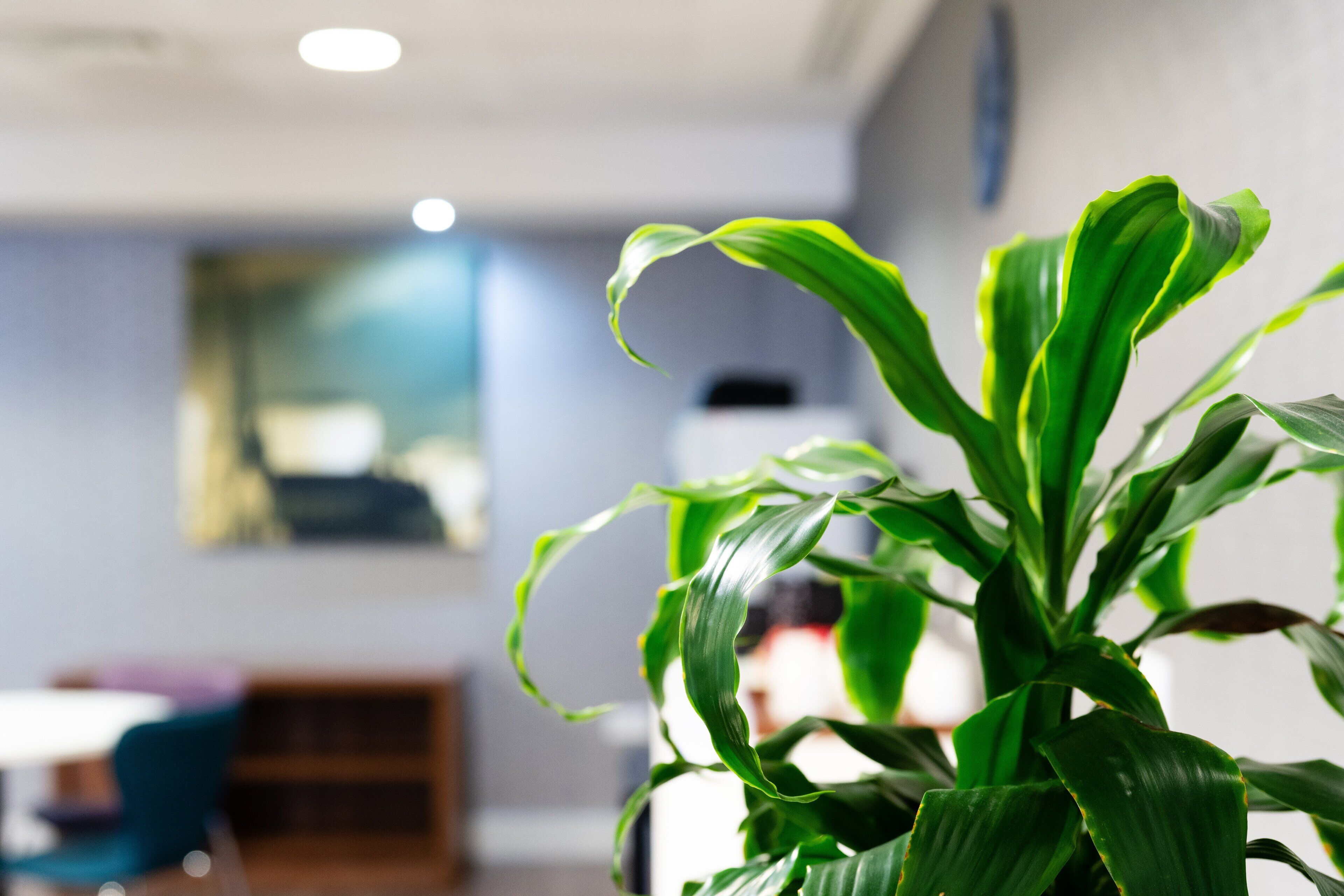 Photo - Holiday Inn Express Birmingham - Snow Hill by IHG