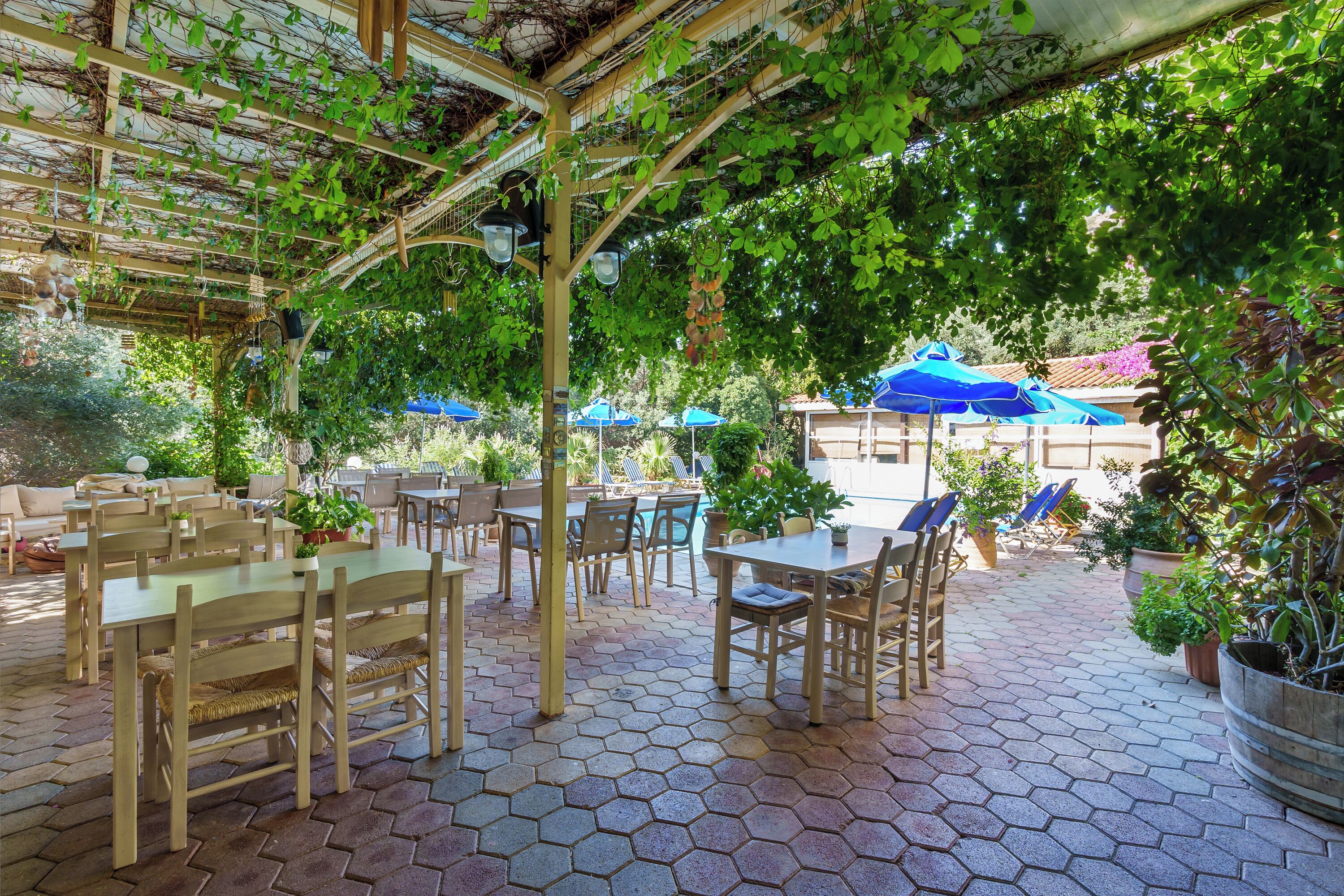 An outdoor patio area with hexagonal tiled flooring, wooden furniture, and potted plants.
