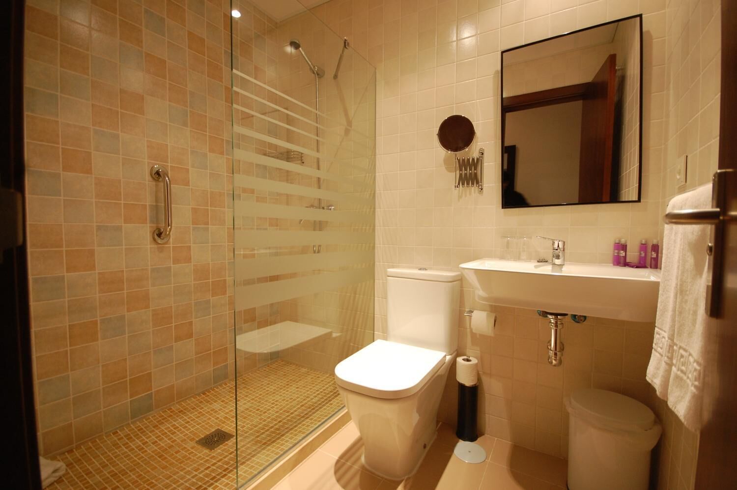 shower, free toiletries, hair dryer, towels