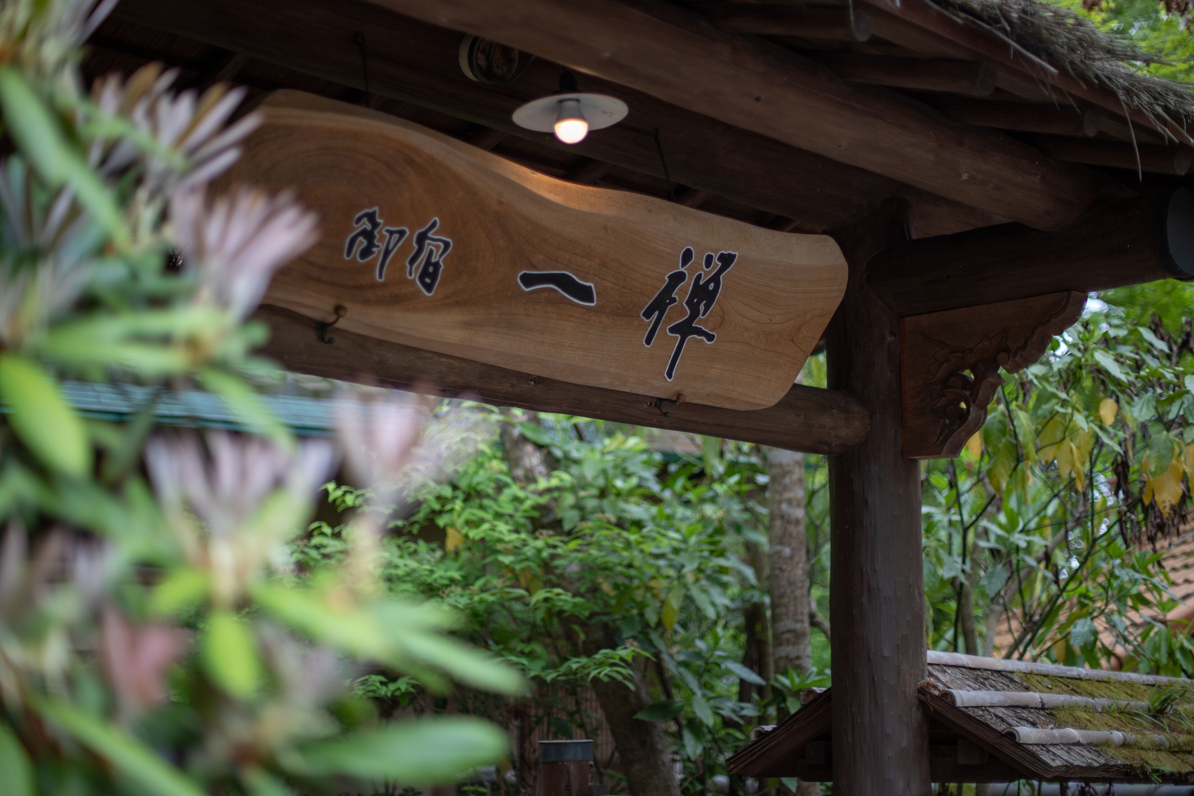A wooden sign with Chinese characters, a rustic wooden structure, and lush greenery in the background.