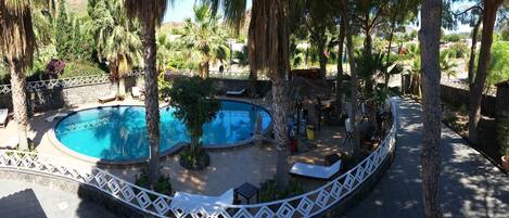A pool area with a circular pool, surrounded by palm trees and lounge chairs.