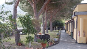 Un chemin bordé de plantes en pot et d’arbres qui mène à un bâtiment jaune doté d’une allée couverte.