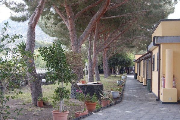 A pathway lined with potted plants and trees leading to a yellow building with a covered walkway.
