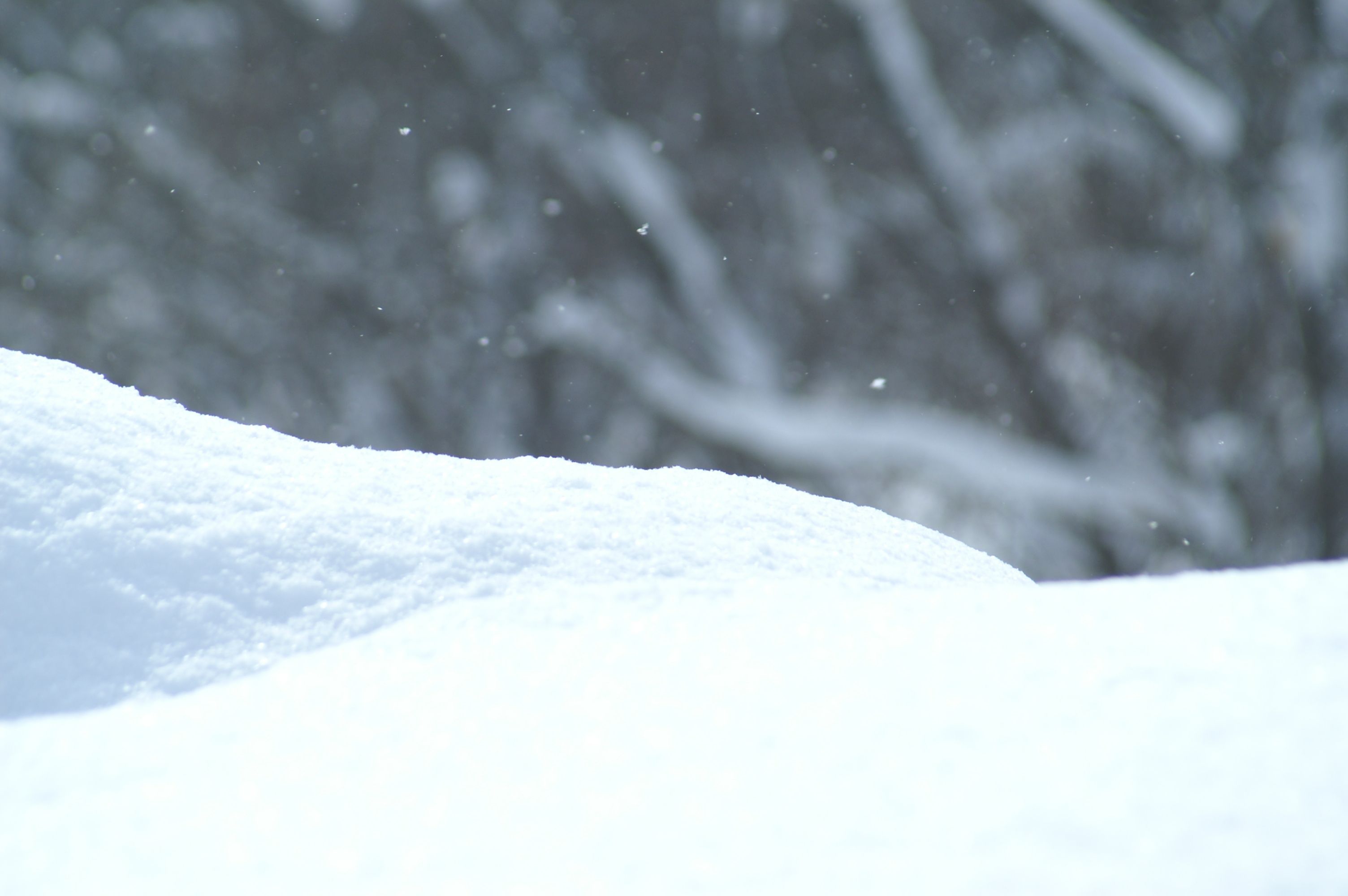 A snow-covered landscape with a blurred background of trees.