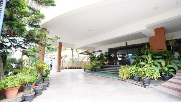 Un espacio al aire libre cubierto con plantas en macetas y la entrada de un edificio.