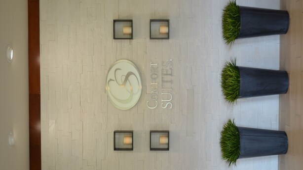 A hotel lobby with a central circular sign, four wall-mounted lights, and three potted plants. - Comfort Suites Bossier City - Shreveport (Bossier City)