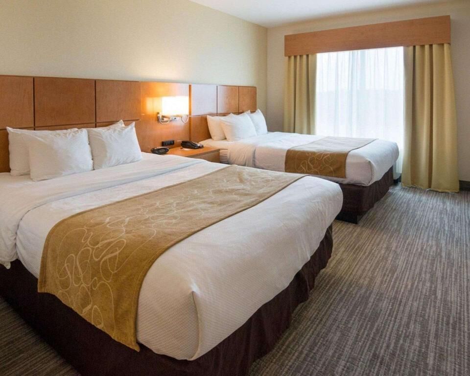 Hypo-allergenic bedding, pillow-top beds, in-room safe, desk