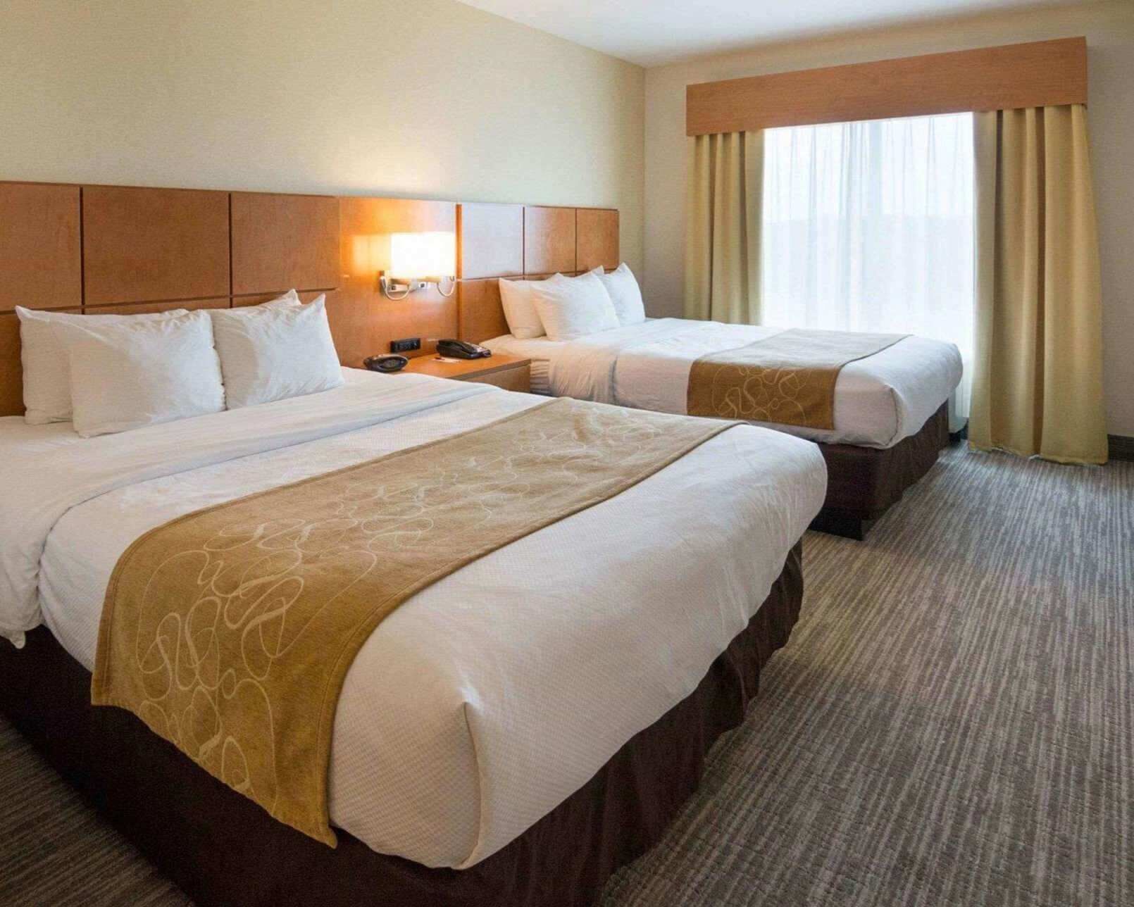 Hypo-allergenic bedding, pillow-top beds, in-room safe, desk