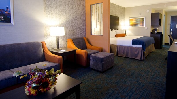 A hotel room with a sofa, two armchairs, a small table with a vase of flowers, a bed with a nightstand, and a desk with a lamp. - Holiday Inn Express Hotel & Suites Knoxville West -Papermill by IHG (Knoxville)