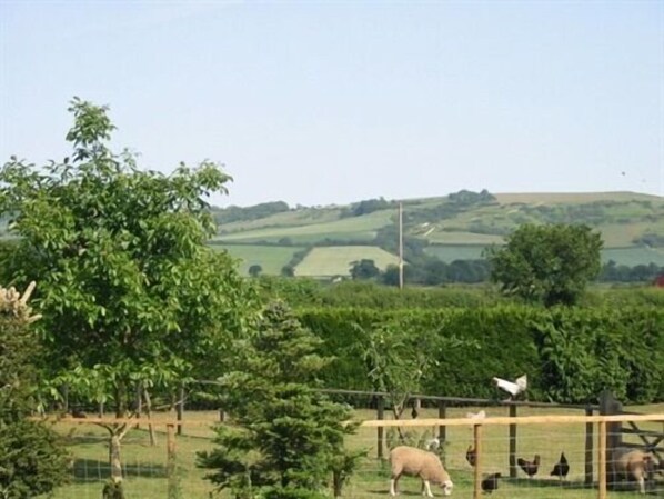 Blick von der Unterkunft