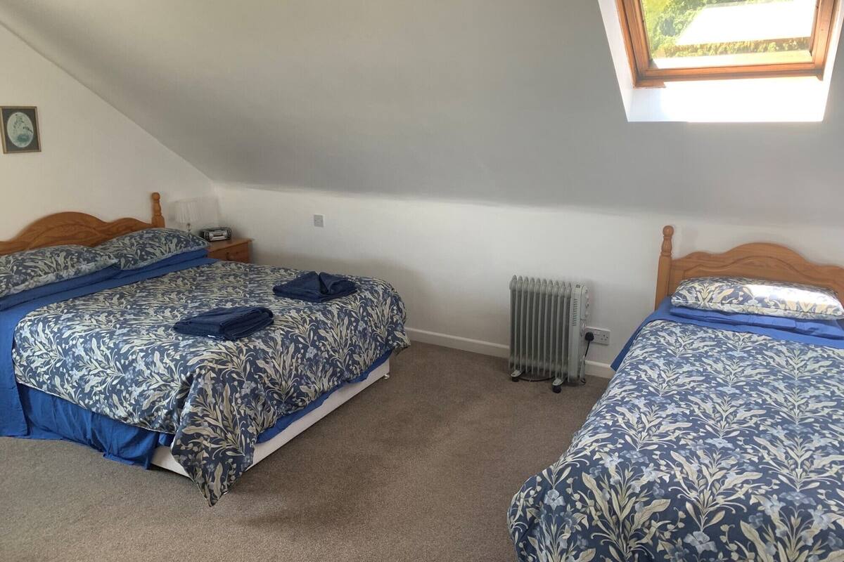 A bedroom with two beds, a radiator, and a skylight.