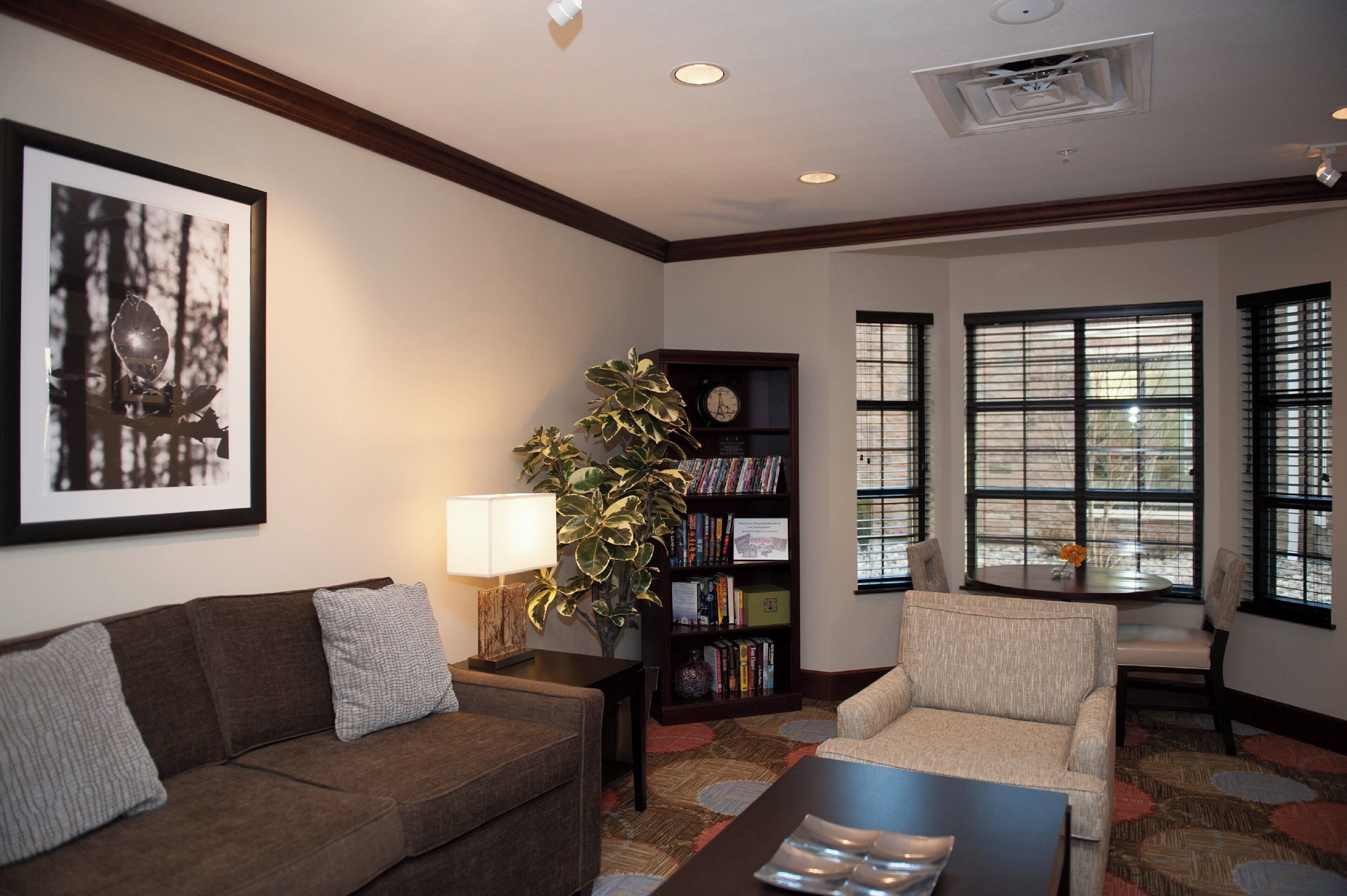 A living room with a brown sofa, a coffee table, a bookshelf, a potted plant, and a framed picture on the wall.