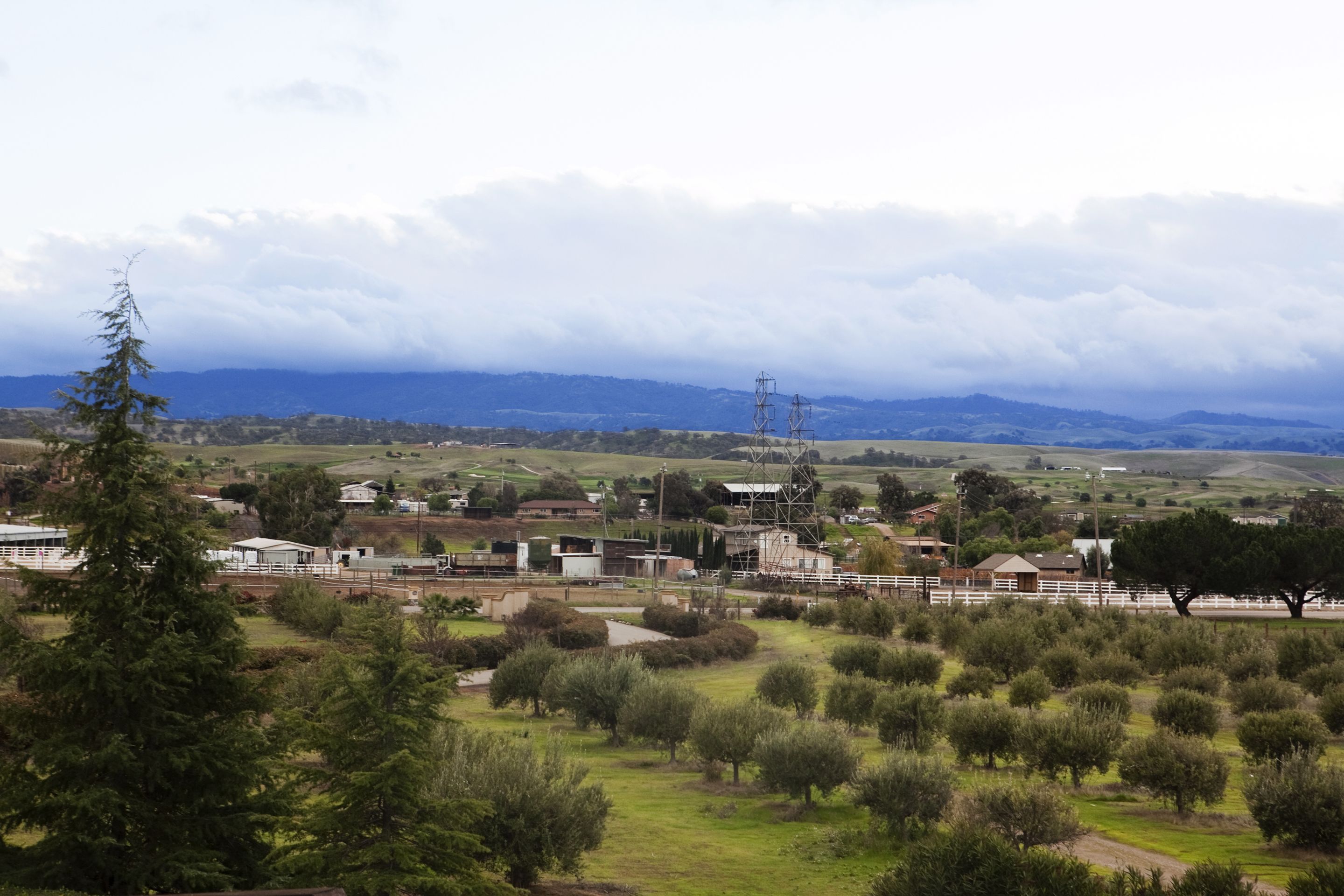 A rural landscape with a small settlement, including houses, a fenced area, and a prominent tree.