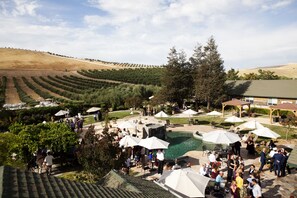 Outdoor wedding area