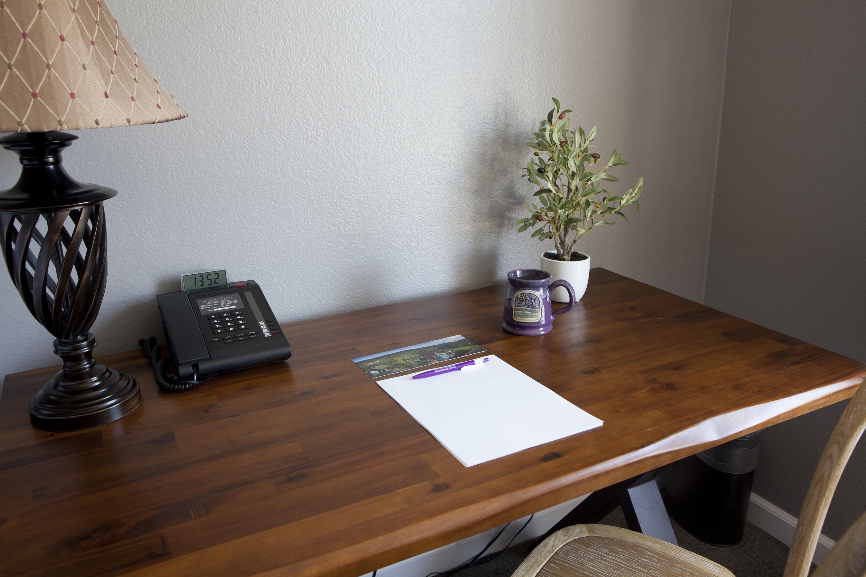 A wooden desk with a telephone, a lamp, a plant, and a mug.