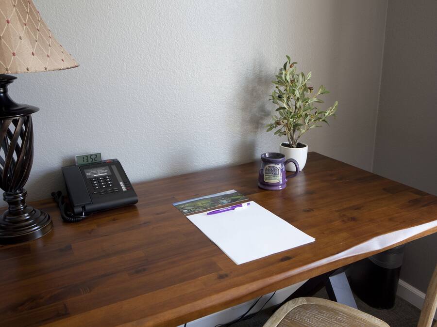 A wooden desk with a telephone, a lamp, a plant, and a mug.