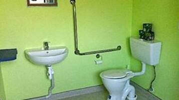 A small bathroom with a sink, toilet, and a handrail.