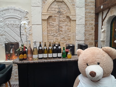 Brit Hotel Les Comtes de Champagne Centre Historique