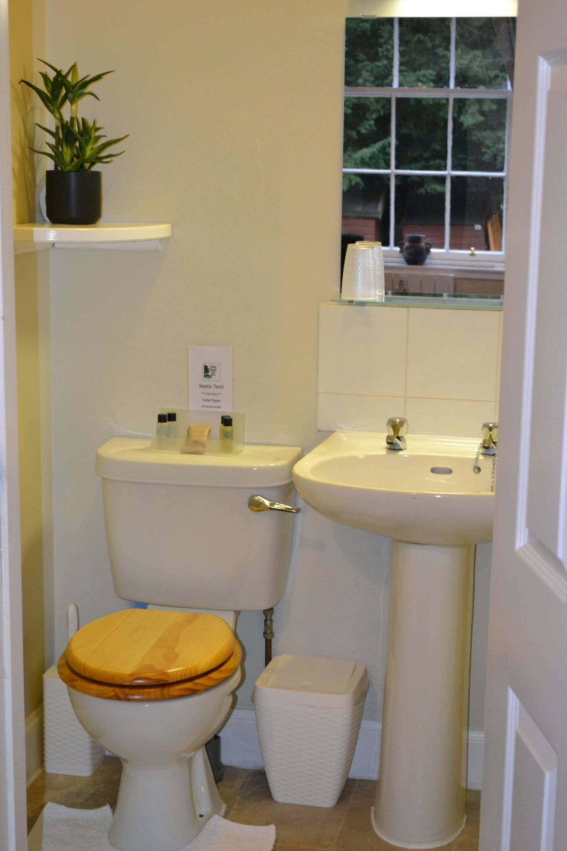 A small bathroom with a toilet, sink, and a potted plant on a shelf.