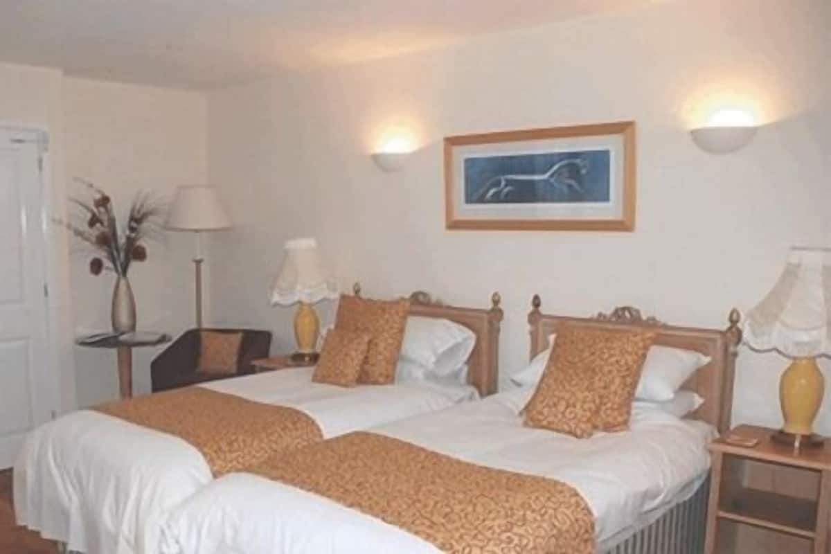 Chambre Double ou avec lits jumeaux, salle de bains attenante (Room 1)