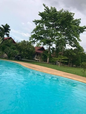 A swimming pool with a clear blue water surface, surrounded by a grassy area and trees.
