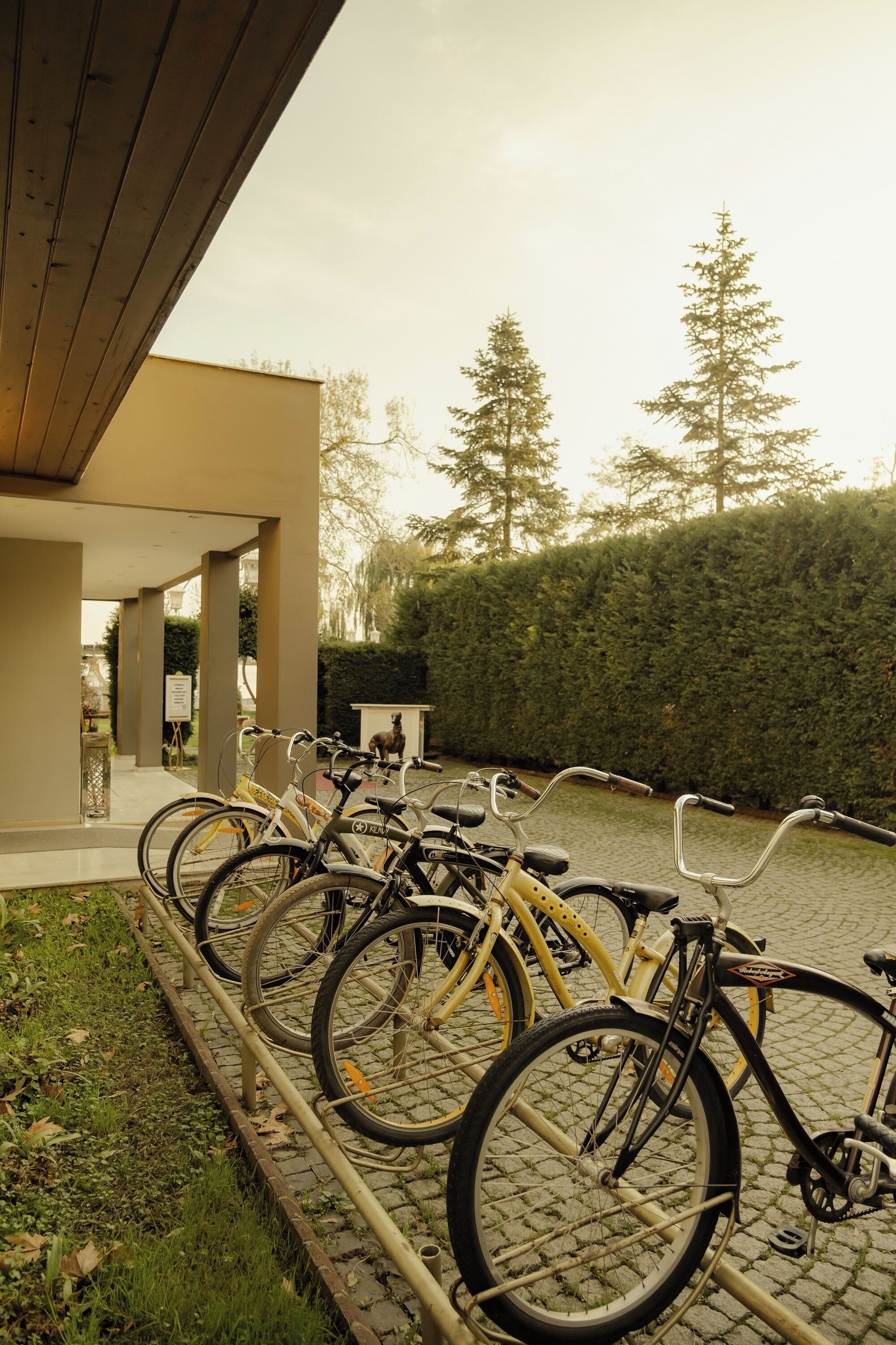 Bicycles parked on a rack outside a building with a paved walkway and a hedge in the background.
