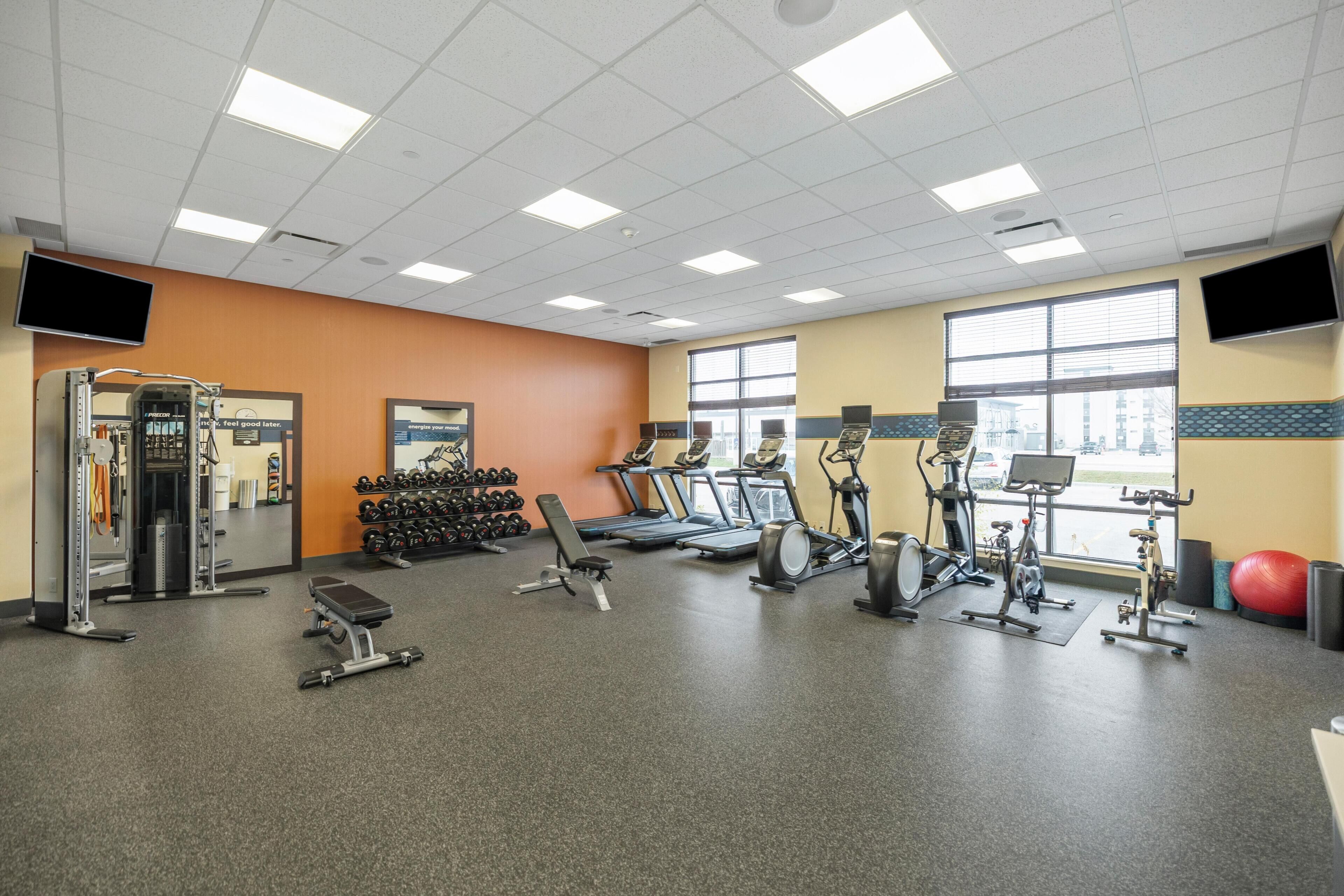 A gym with treadmills, elliptical machines, a weight bench, dumbbells, and a stationary bike.