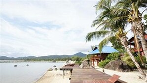 Una terraza de madera con un banco, palmeras y vistas a la playa.