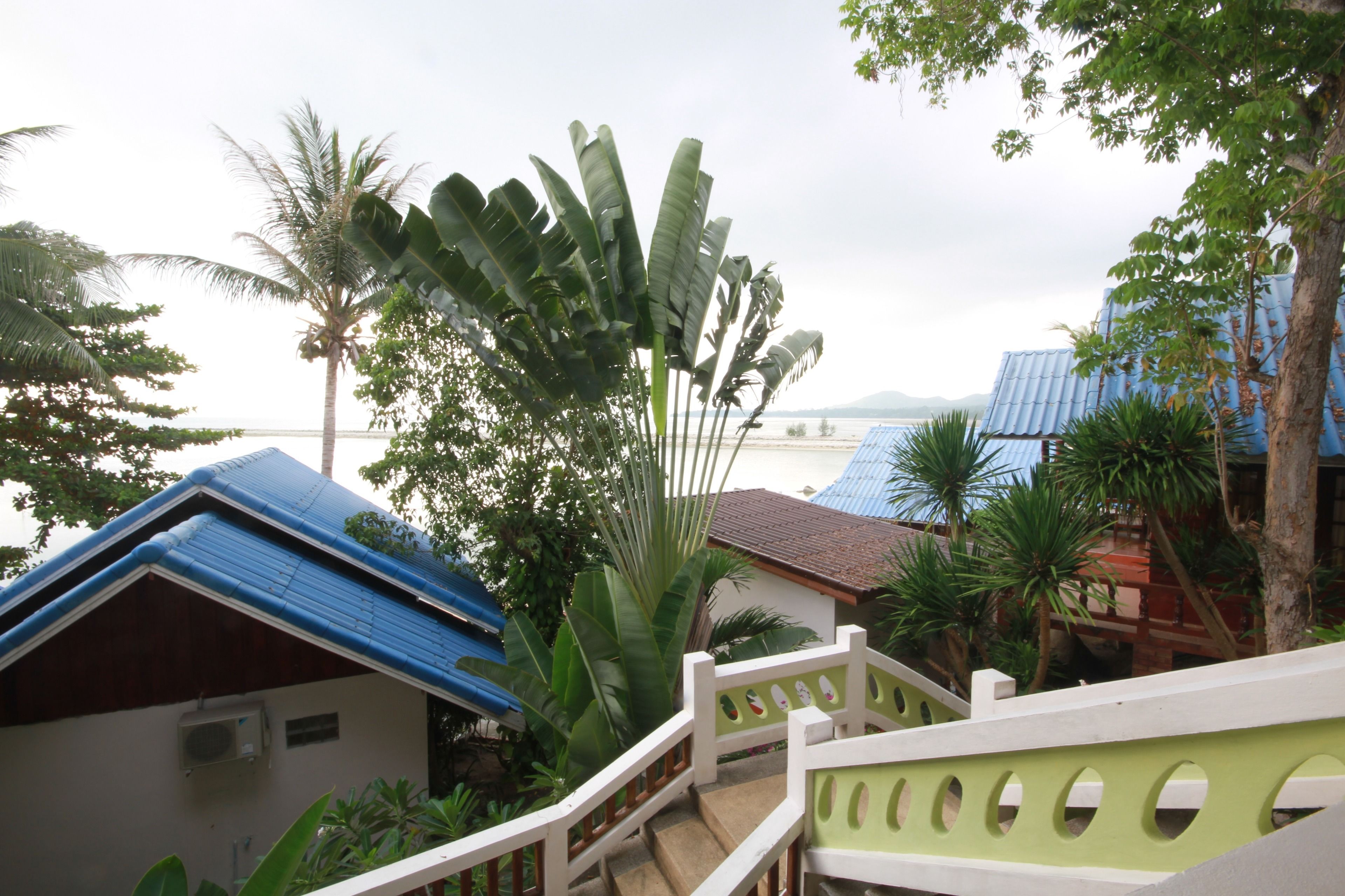 Superior Hotel | Pemandangan dari kamar