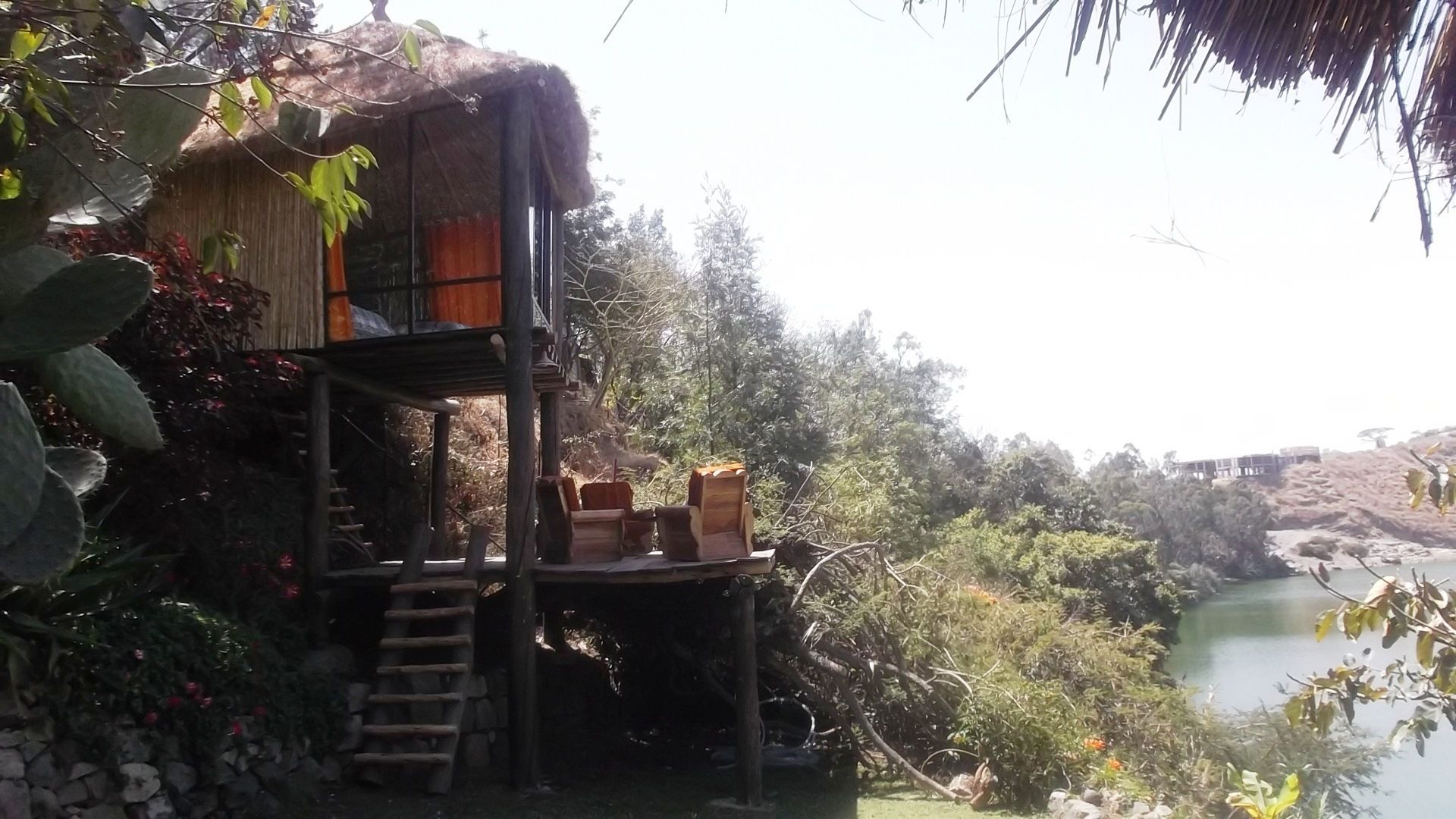 A rustic treehouse with a wooden staircase leading up to a platform with seating.