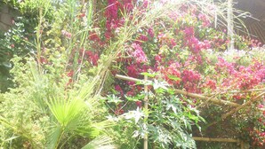 A garden with a large tortoise, various plants, and a bamboo structure. - Babogaya Lake Viewpoint Lodge (Bishoftu)
