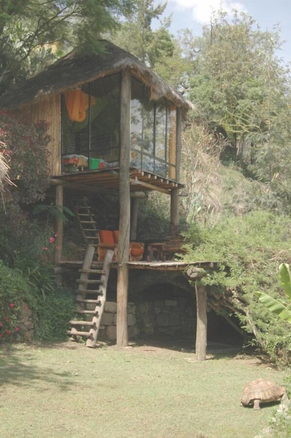 A rustic treehouse with a wooden staircase leading up to a platform with a thatched roof.