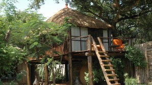 A rustic wooden structure with a thatched roof, a wooden ladder, and a small platform. - Babogaya Lake Viewpoint Lodge (Bishoftu)