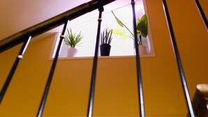 A staircase with a window featuring potted plants. - Hôtel Bel Air (Paris)