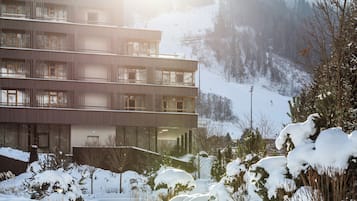 Bermain ski
